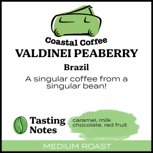 Valdinei Peaberry - Brazil